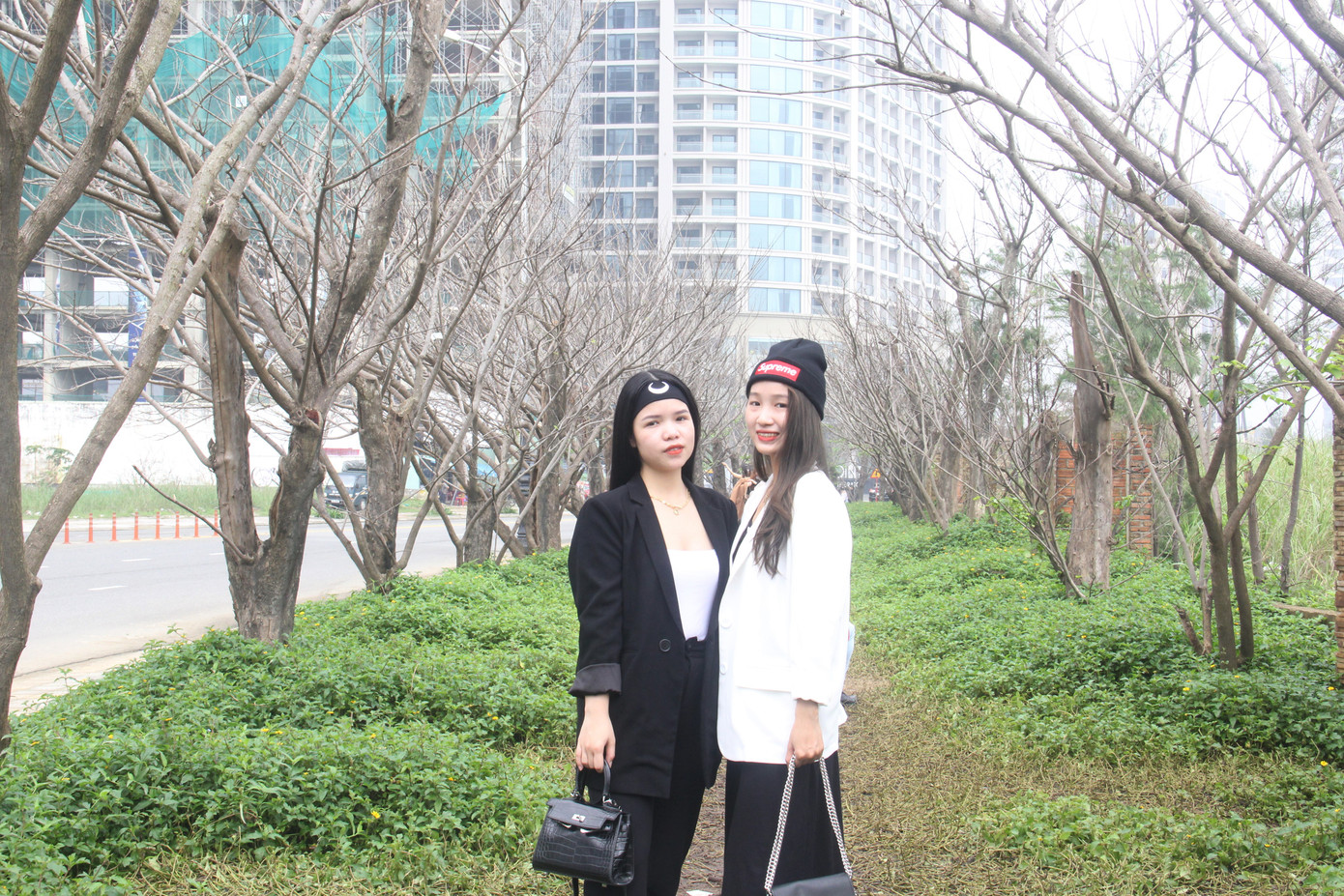 Đông đảo bạn trẻ 'check in' hàng cây mùa đông lạ mắt ven biển Đà Nẵng ảnh 4