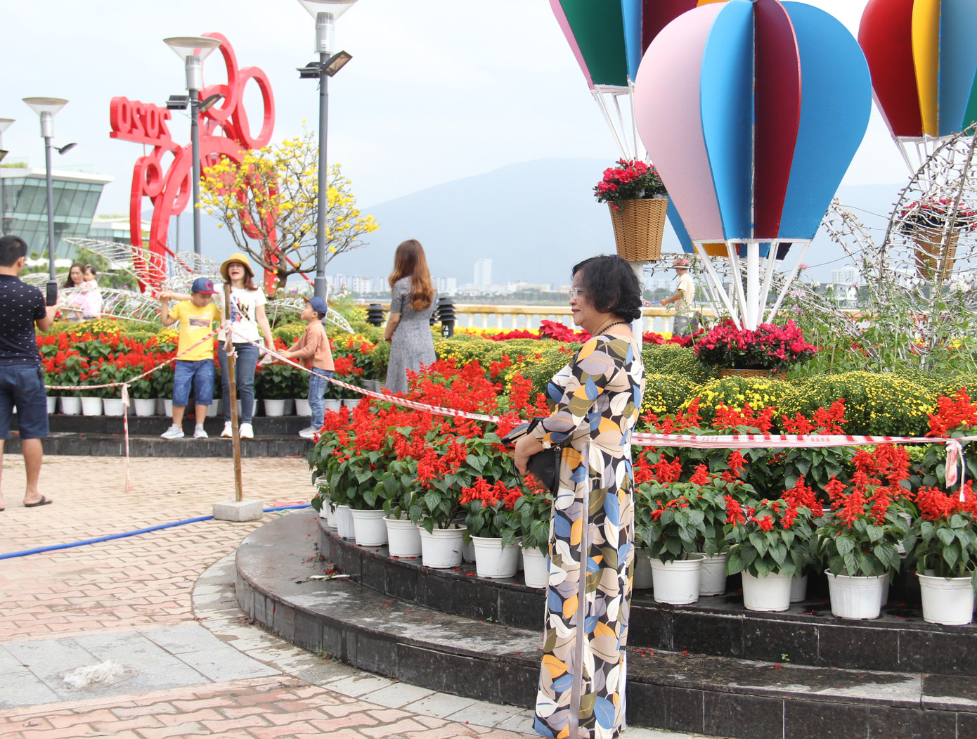 Đường hoa xuân Đà Nẵng hút nhiều ‘hội bạn tóc bạc’ đến sớm ảnh 3