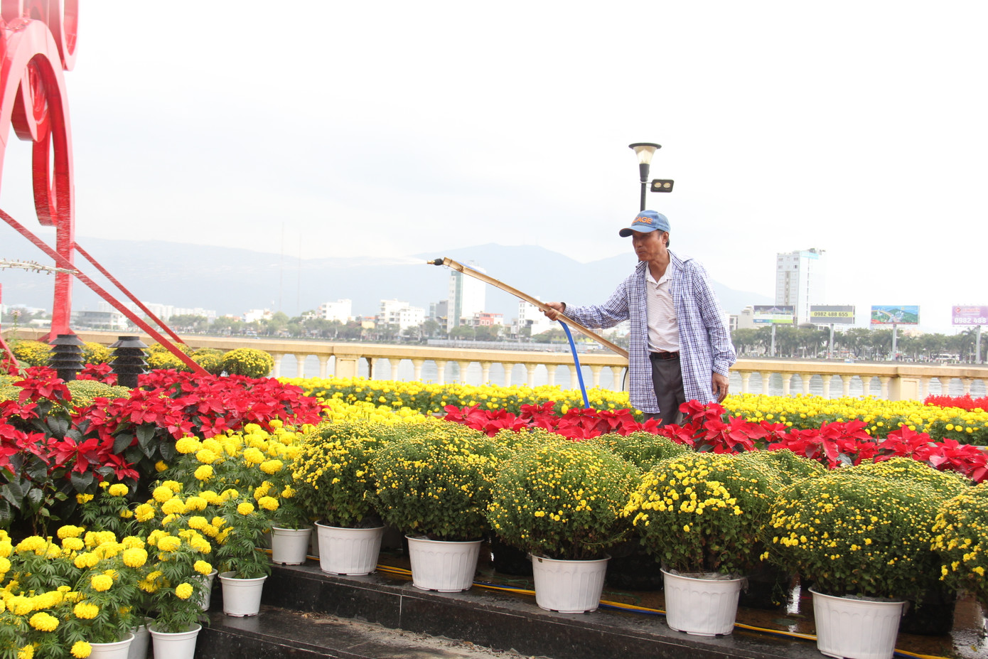 Đường hoa xuân Đà Nẵng hút nhiều ‘hội bạn tóc bạc’ đến sớm ảnh 9