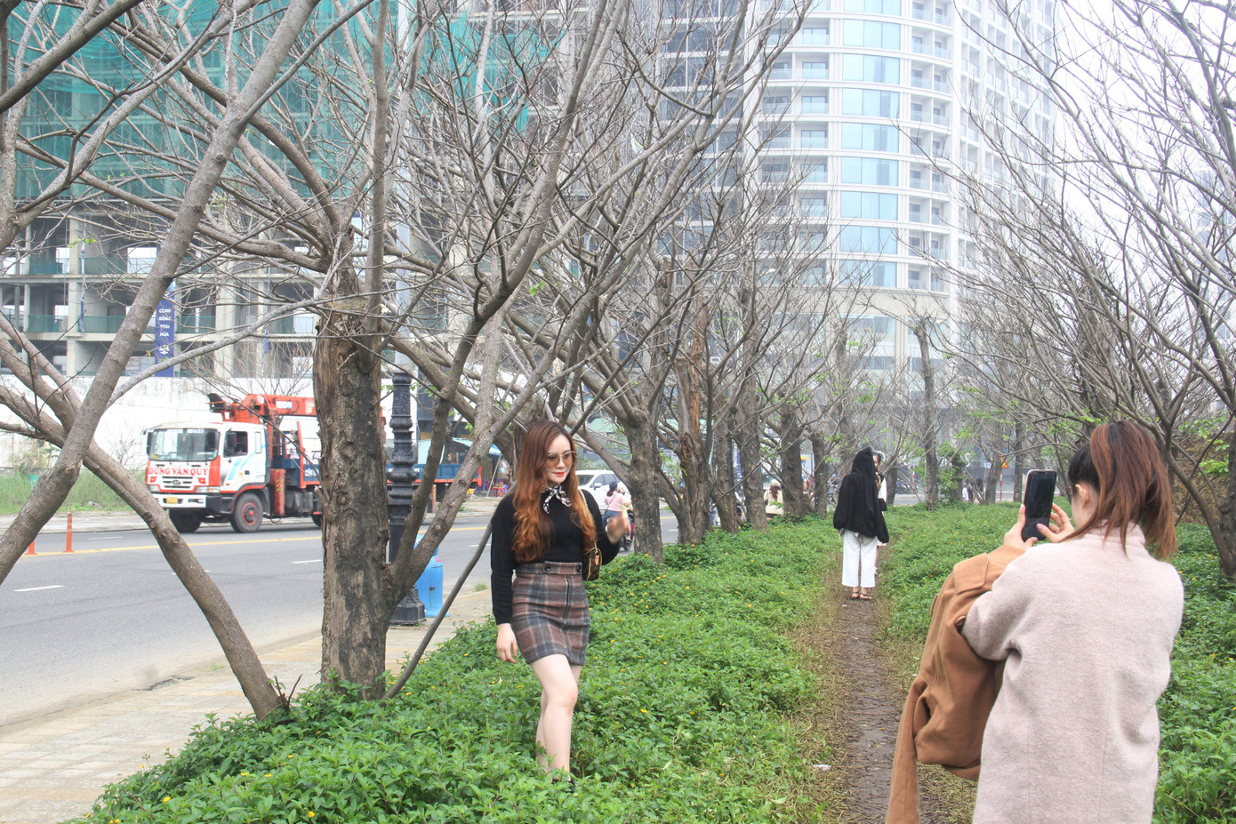 Đông đảo bạn trẻ 'check in' hàng cây mùa đông lạ mắt ven biển Đà Nẵng ảnh 2