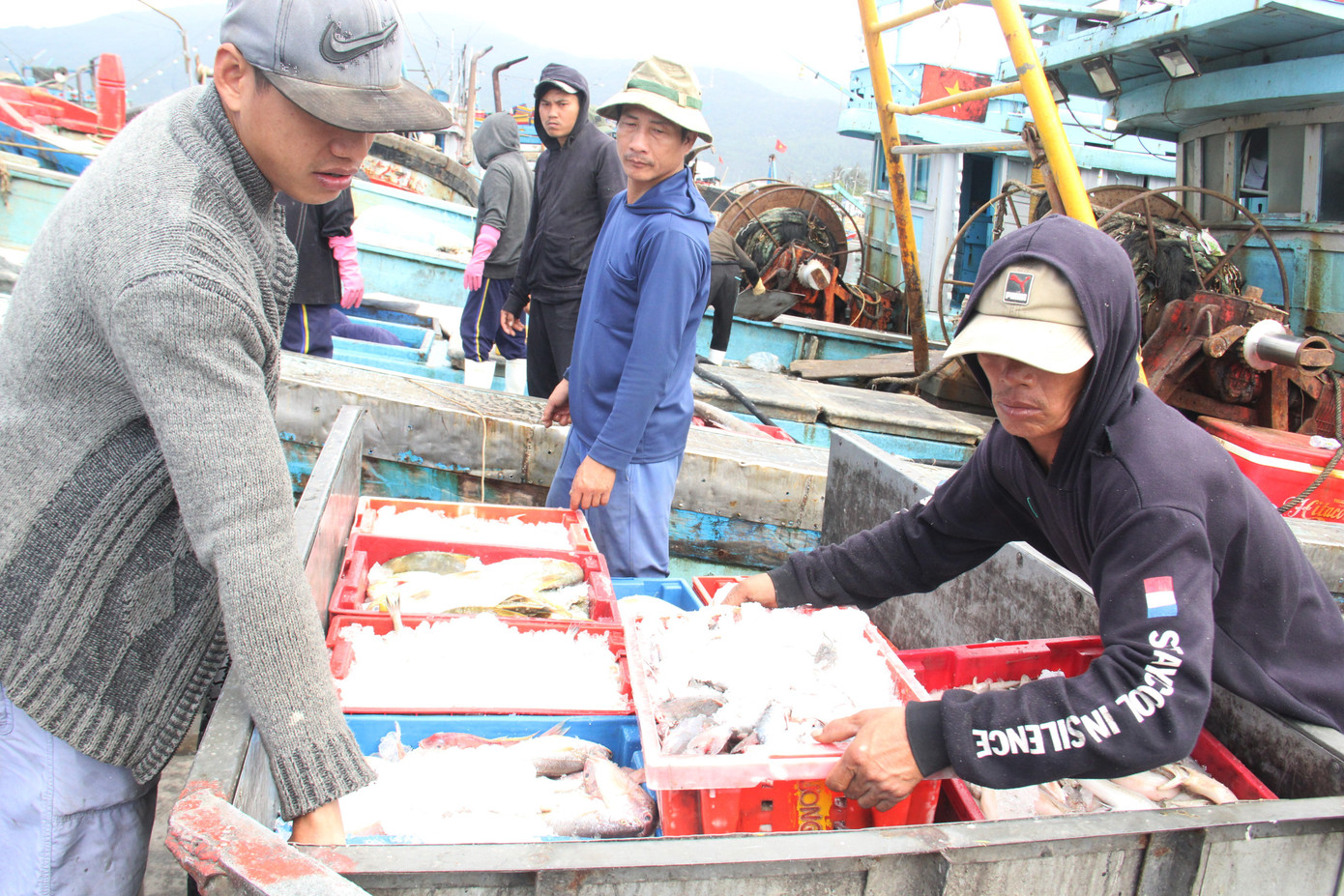 Nụ cười sau chuyến biển cuối năm của ngư dân miền Trung ảnh 8