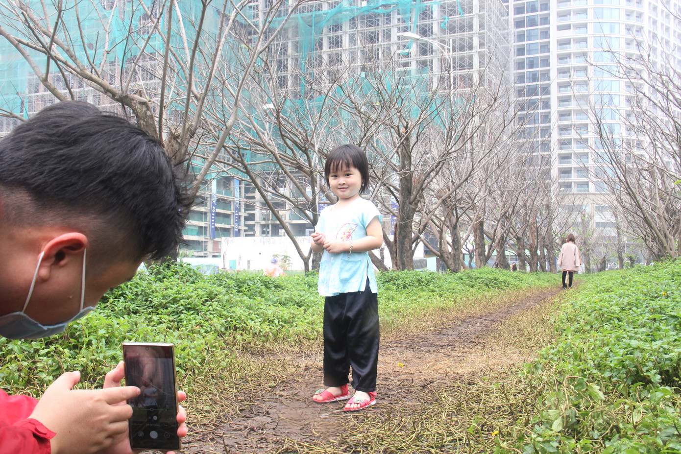 Đông đảo bạn trẻ 'check in' hàng cây mùa đông lạ mắt ven biển Đà Nẵng ảnh 3