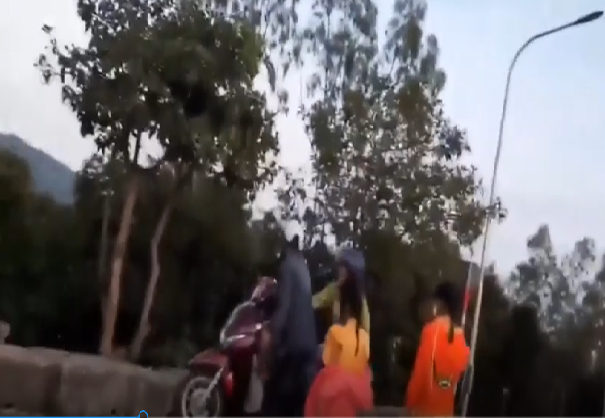 Đàn khỉ kêu gào đuổi theo người đàn ông bắt khỉ con trên bán đảo Sơn Trà ảnh 1