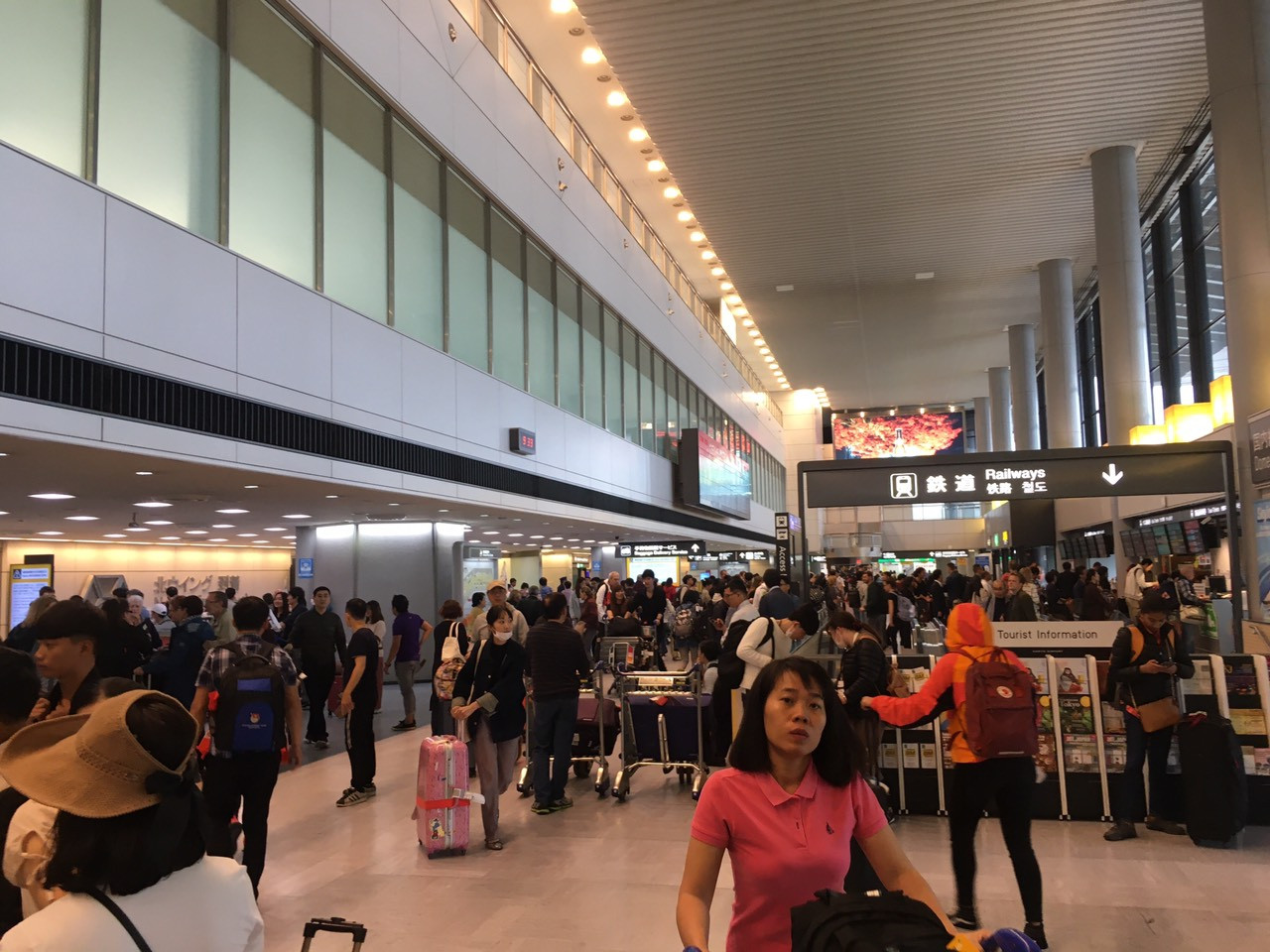 Ghi nhận Tiền Phong: Sau 2 ngày đổ bộ, bão Habigis không còn 'dấu tích' ở Tokyo ảnh 4