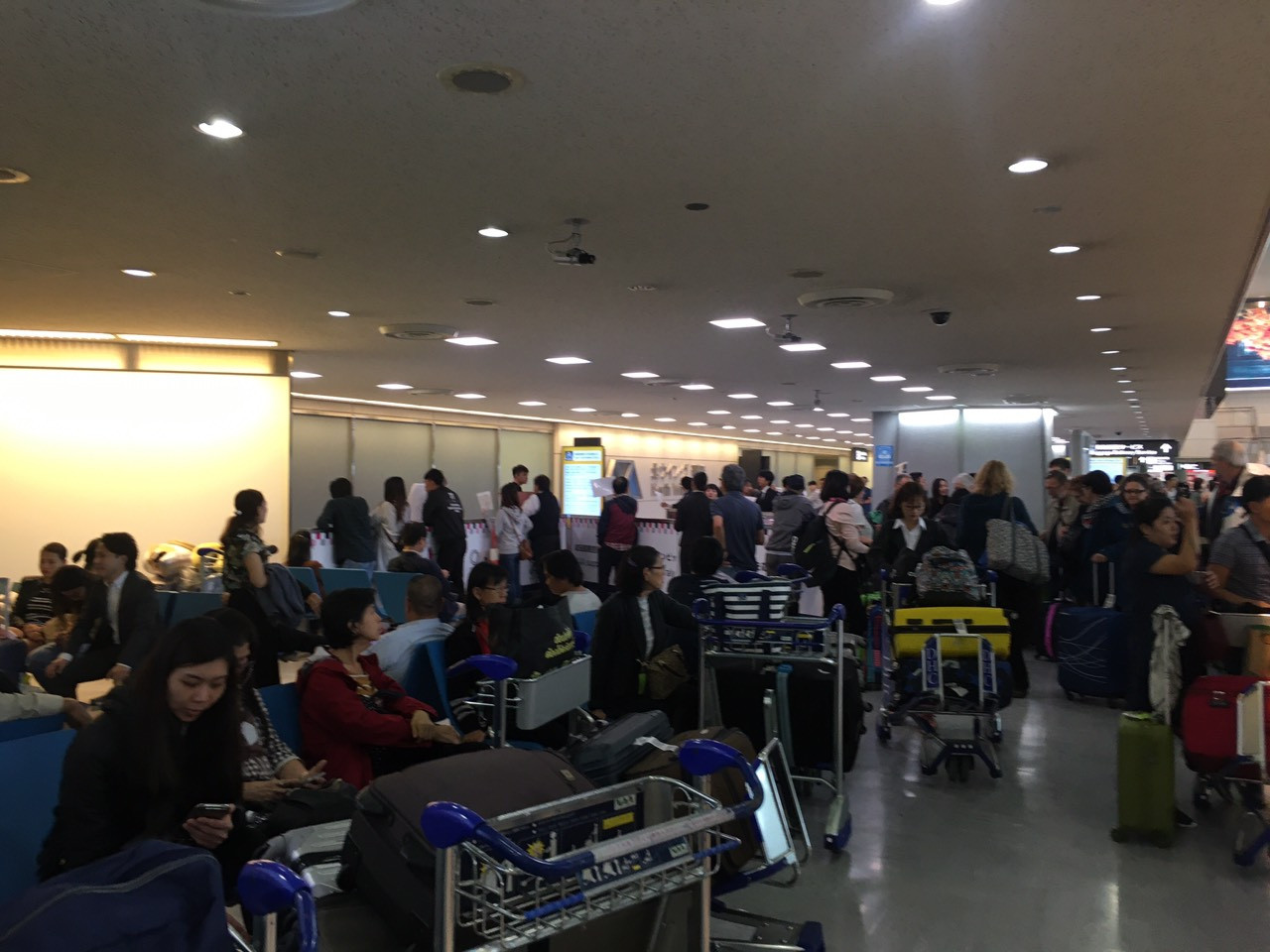 Ghi nhận Tiền Phong: Sau 2 ngày đổ bộ, bão Habigis không còn 'dấu tích' ở Tokyo ảnh 3