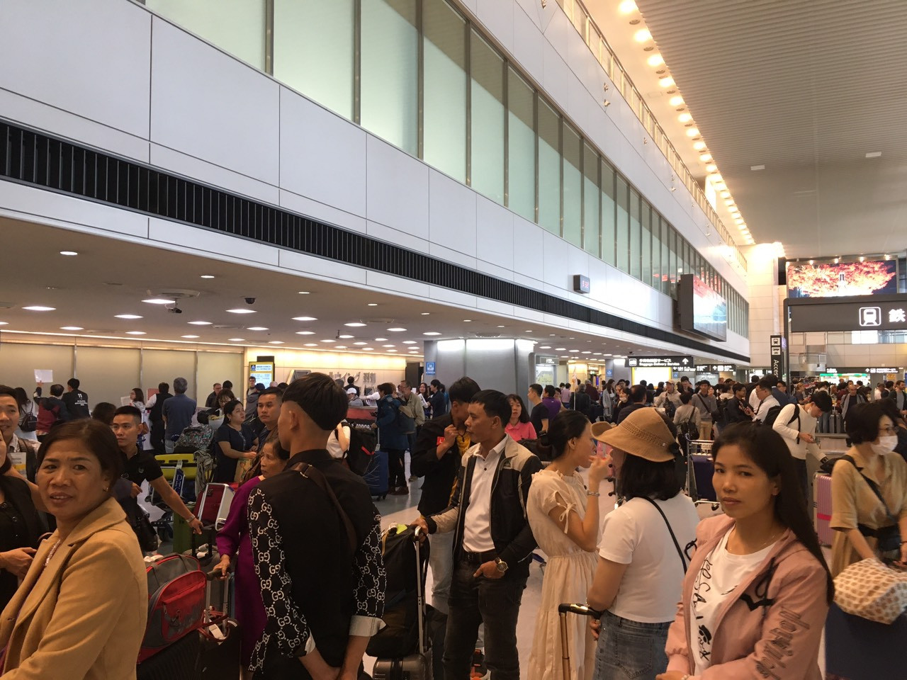 Ghi nhận Tiền Phong: Sau 2 ngày đổ bộ, bão Habigis không còn 'dấu tích' ở Tokyo ảnh 5