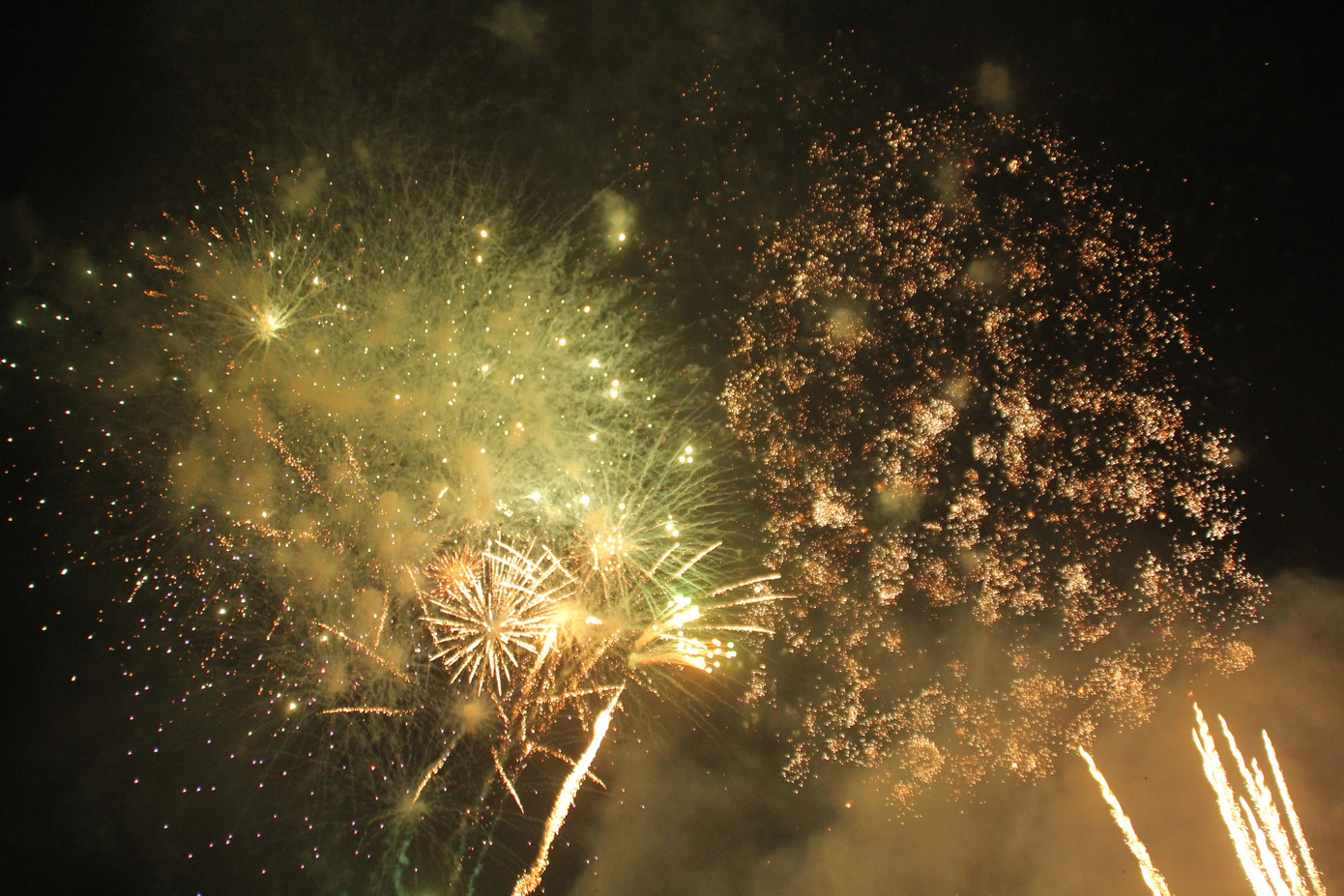 Người dân thành phố Thủ Đức hân hoan với màn pháo hoa chào năm mới ảnh 25