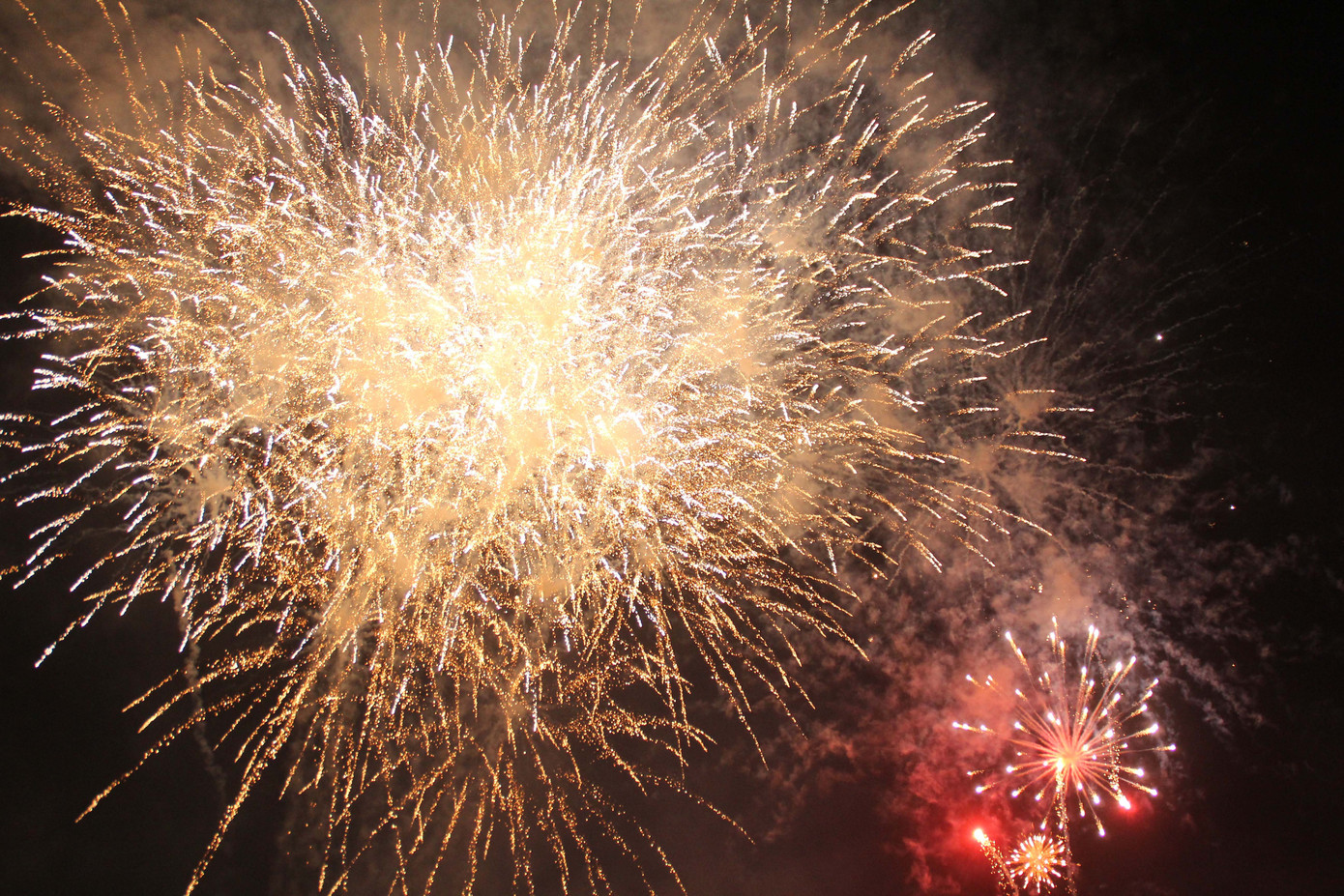 Người dân thành phố Thủ Đức hân hoan với màn pháo hoa chào năm mới ảnh 13