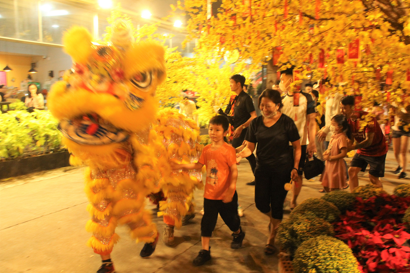 Đàm Vĩnh Hưng cùng dàn nghệ sĩ rộn ràng đón xuân ở phố hoa mai giữa lòng Sài thành ảnh 11