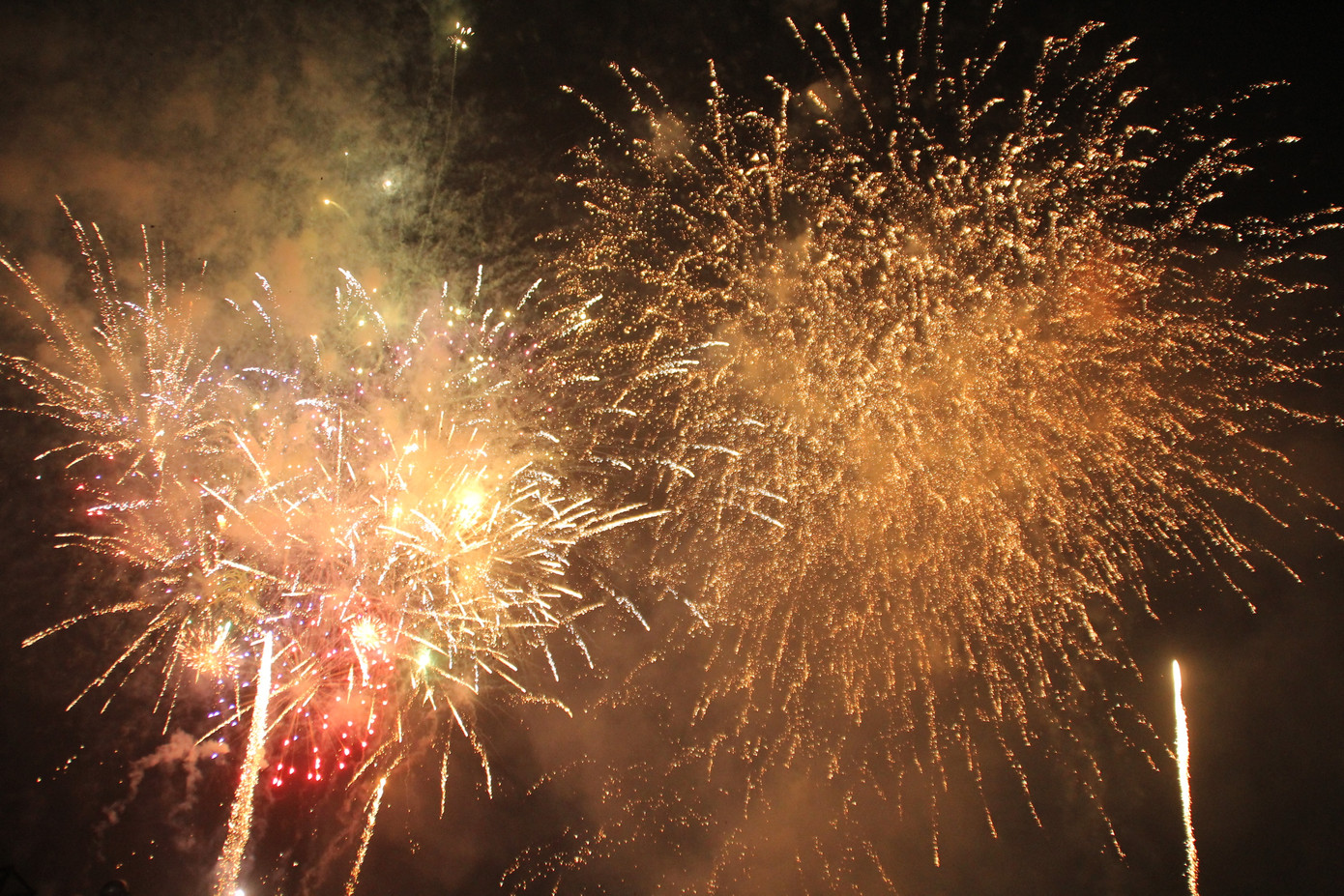 Người dân thành phố Thủ Đức hân hoan với màn pháo hoa chào năm mới ảnh 24