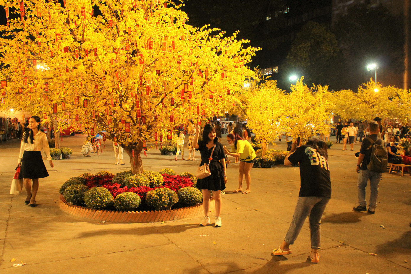 Đàm Vĩnh Hưng cùng dàn nghệ sĩ rộn ràng đón xuân ở phố hoa mai giữa lòng Sài thành ảnh 14