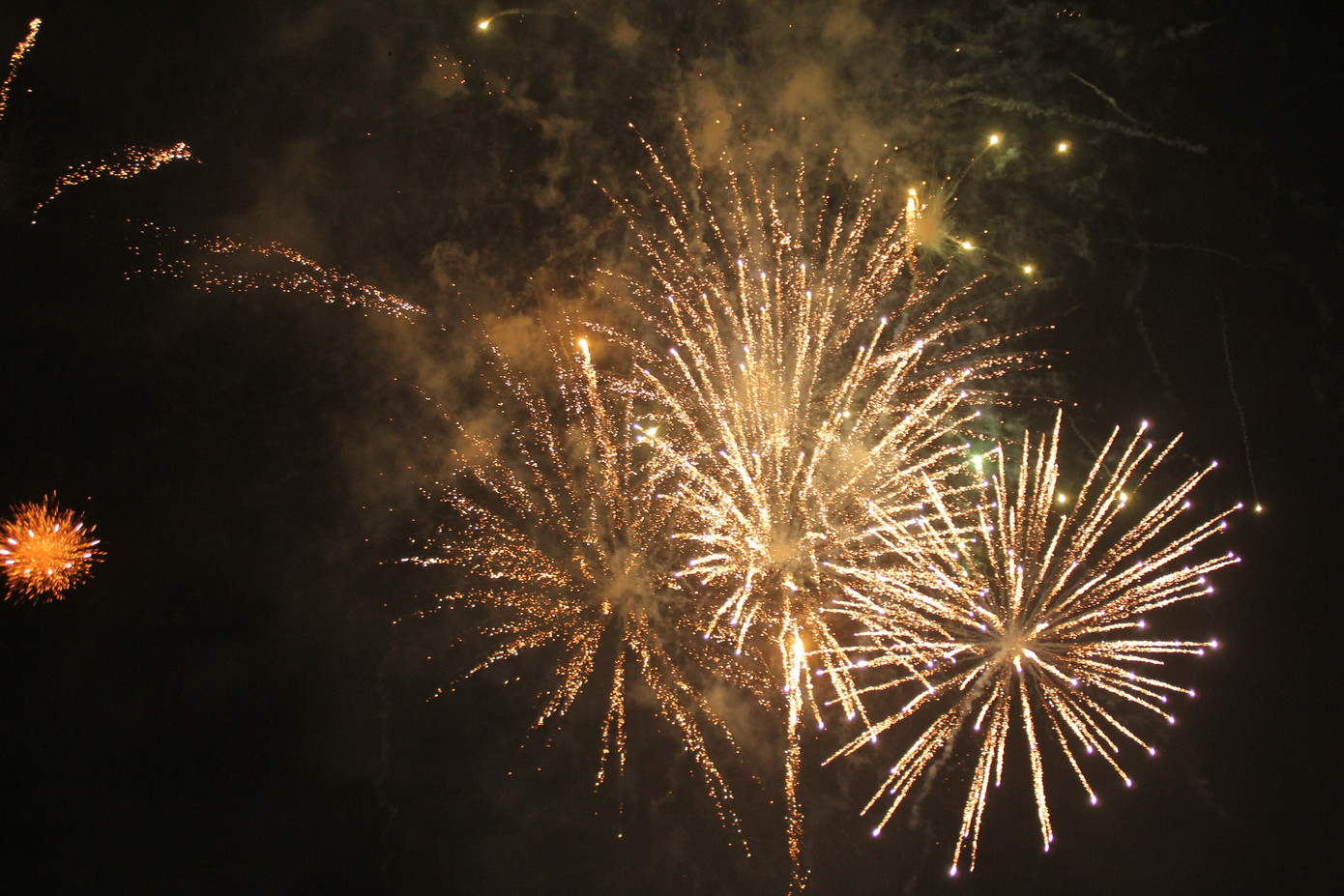 Người dân thành phố Thủ Đức hân hoan với màn pháo hoa chào năm mới ảnh 21