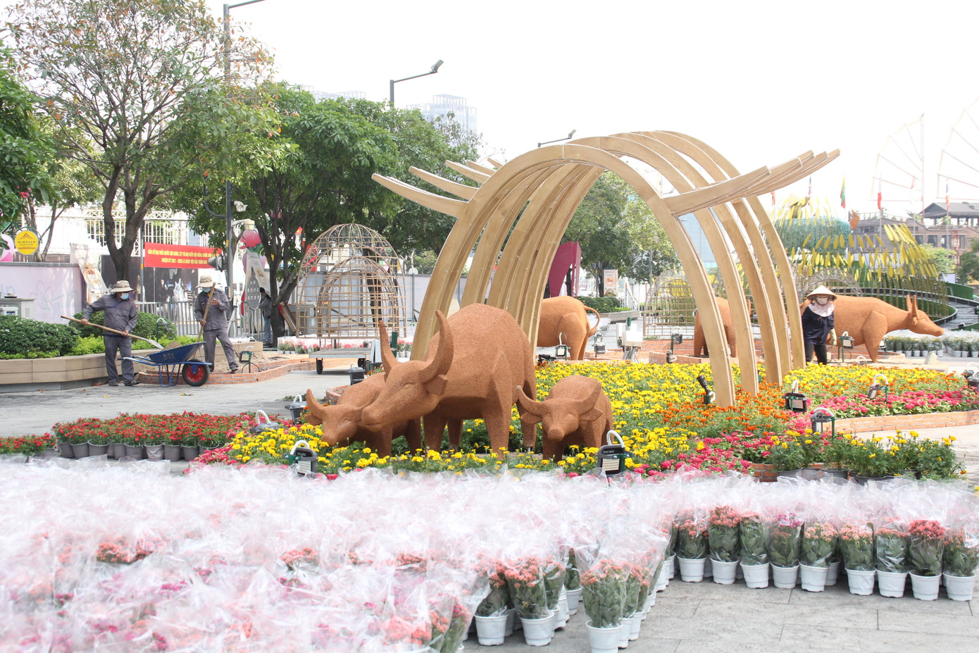 Hình hài Đường hoa Nguyễn Huệ sau hơn 10 ngày thi công ảnh 30