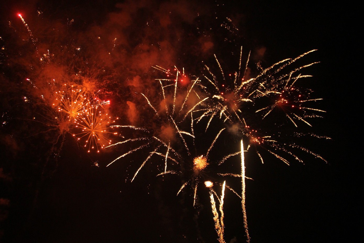 Người dân thành phố Thủ Đức hân hoan với màn pháo hoa chào năm mới ảnh 19