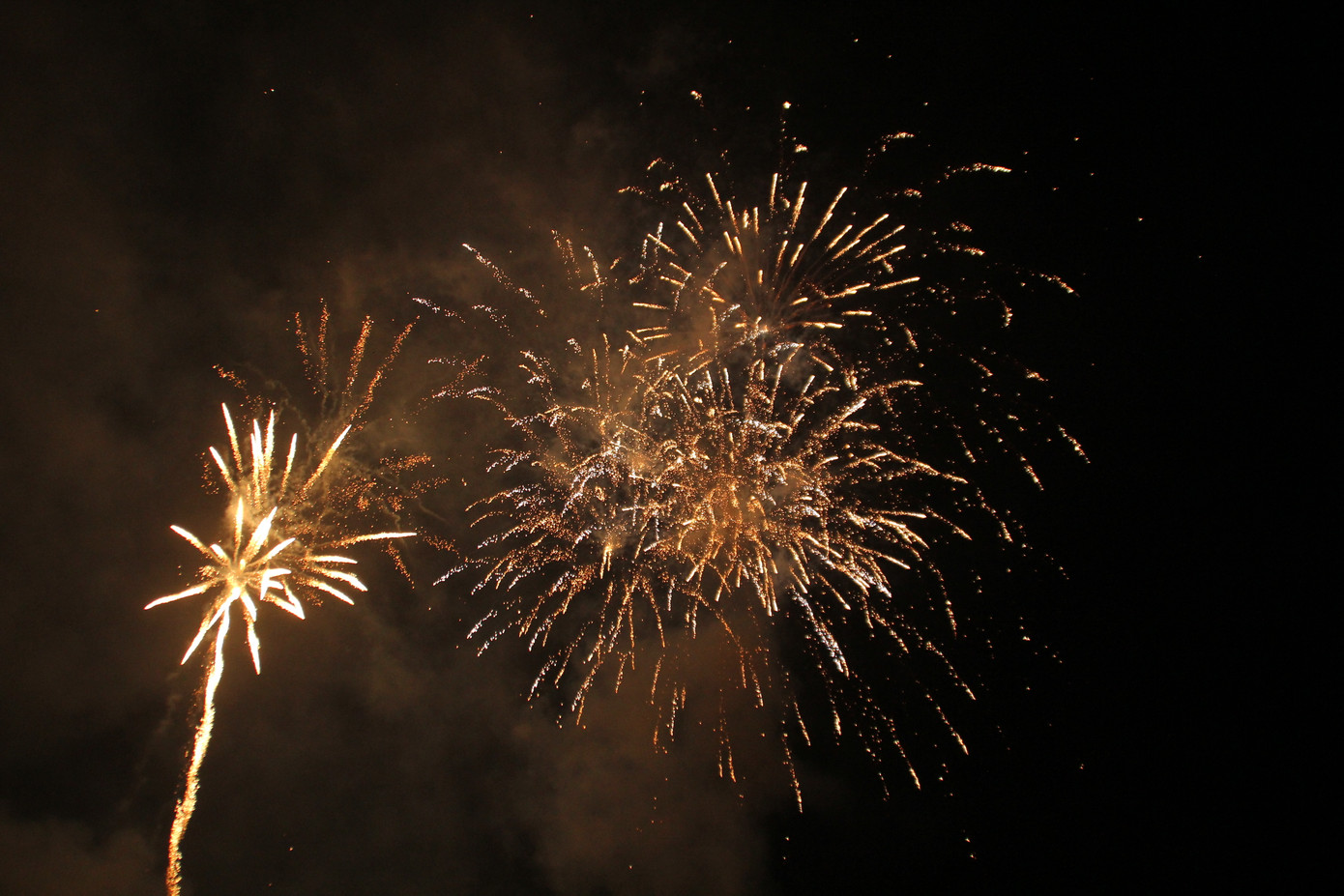 Người dân thành phố Thủ Đức hân hoan với màn pháo hoa chào năm mới ảnh 11