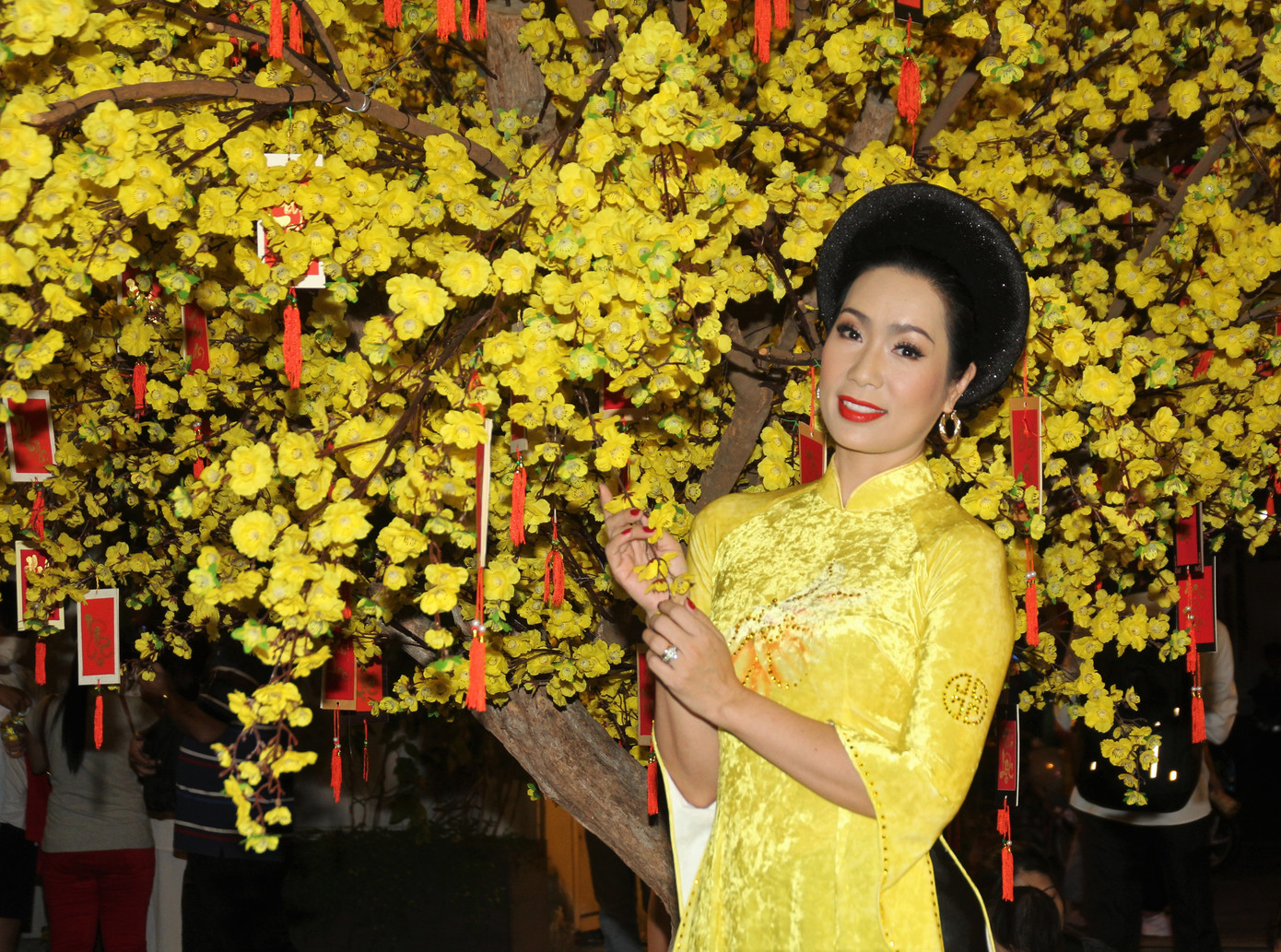 Đàm Vĩnh Hưng cùng dàn nghệ sĩ rộn ràng đón xuân ở phố hoa mai giữa lòng Sài thành ảnh 5