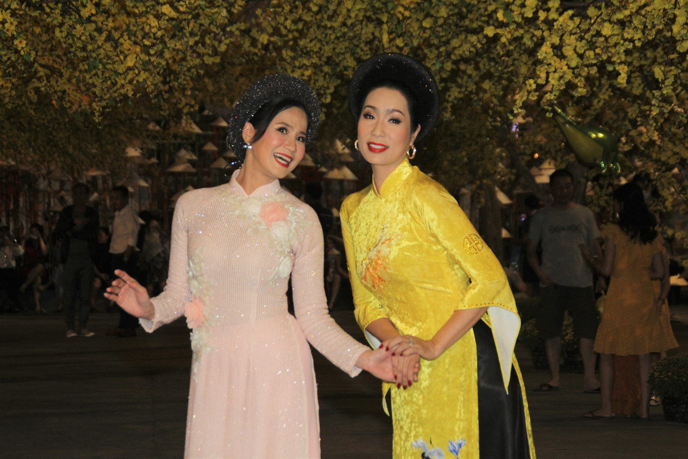 Đàm Vĩnh Hưng cùng dàn nghệ sĩ rộn ràng đón xuân ở phố hoa mai giữa lòng Sài thành ảnh 2