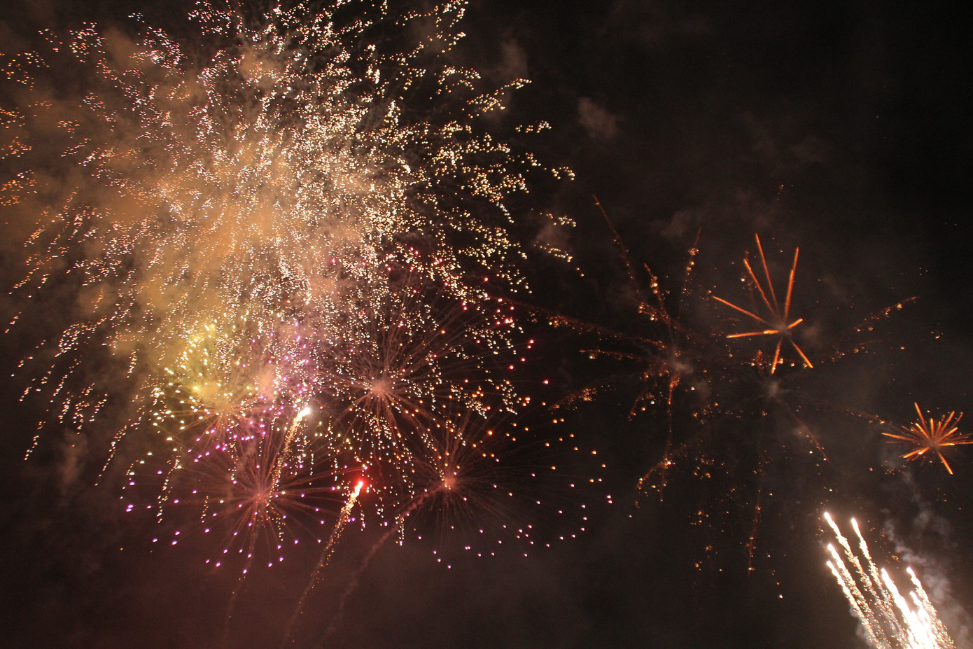 Người dân thành phố Thủ Đức hân hoan với màn pháo hoa chào năm mới ảnh 10