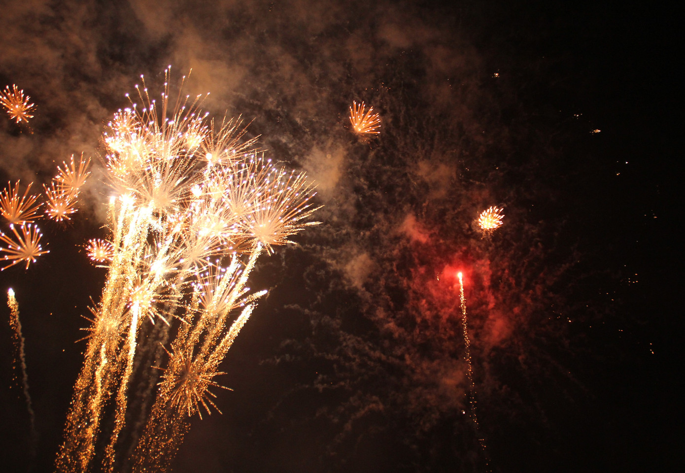 Người dân thành phố Thủ Đức hân hoan với màn pháo hoa chào năm mới ảnh 12