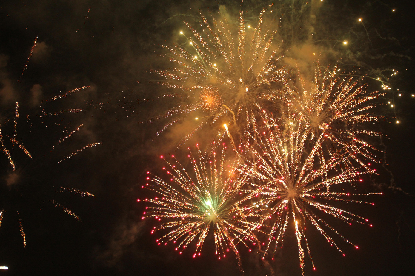 Người dân thành phố Thủ Đức hân hoan với màn pháo hoa chào năm mới ảnh 22