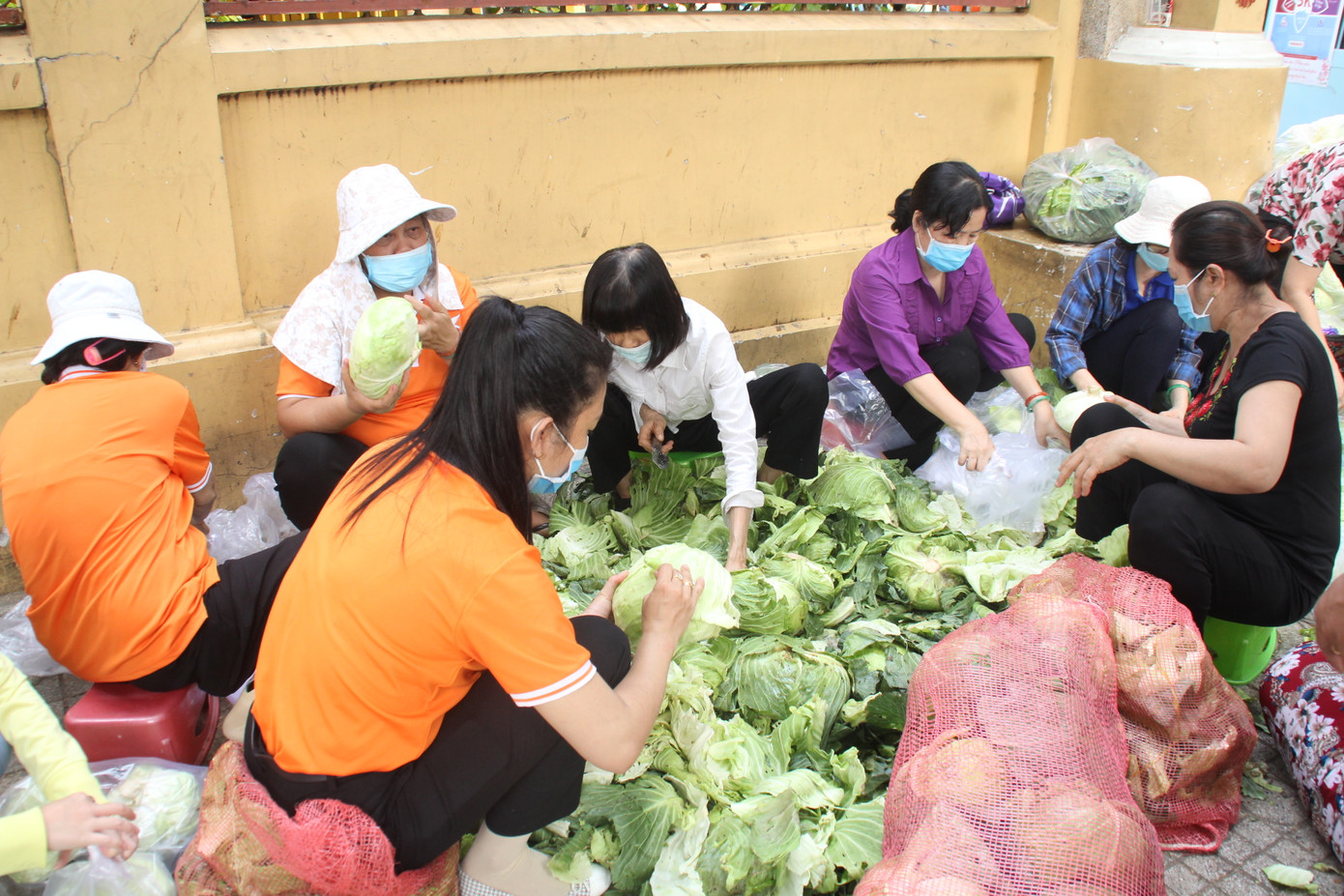 Người dân TPHCM hào hứng 'giải cứu' nông sản Hải Dương ảnh 14