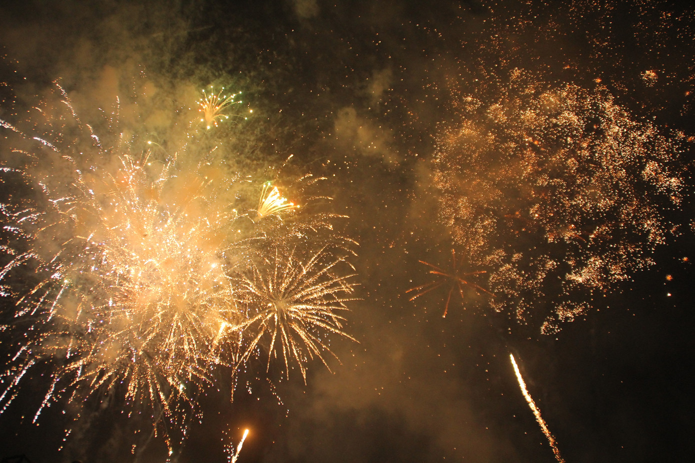 Người dân thành phố Thủ Đức hân hoan với màn pháo hoa chào năm mới ảnh 26