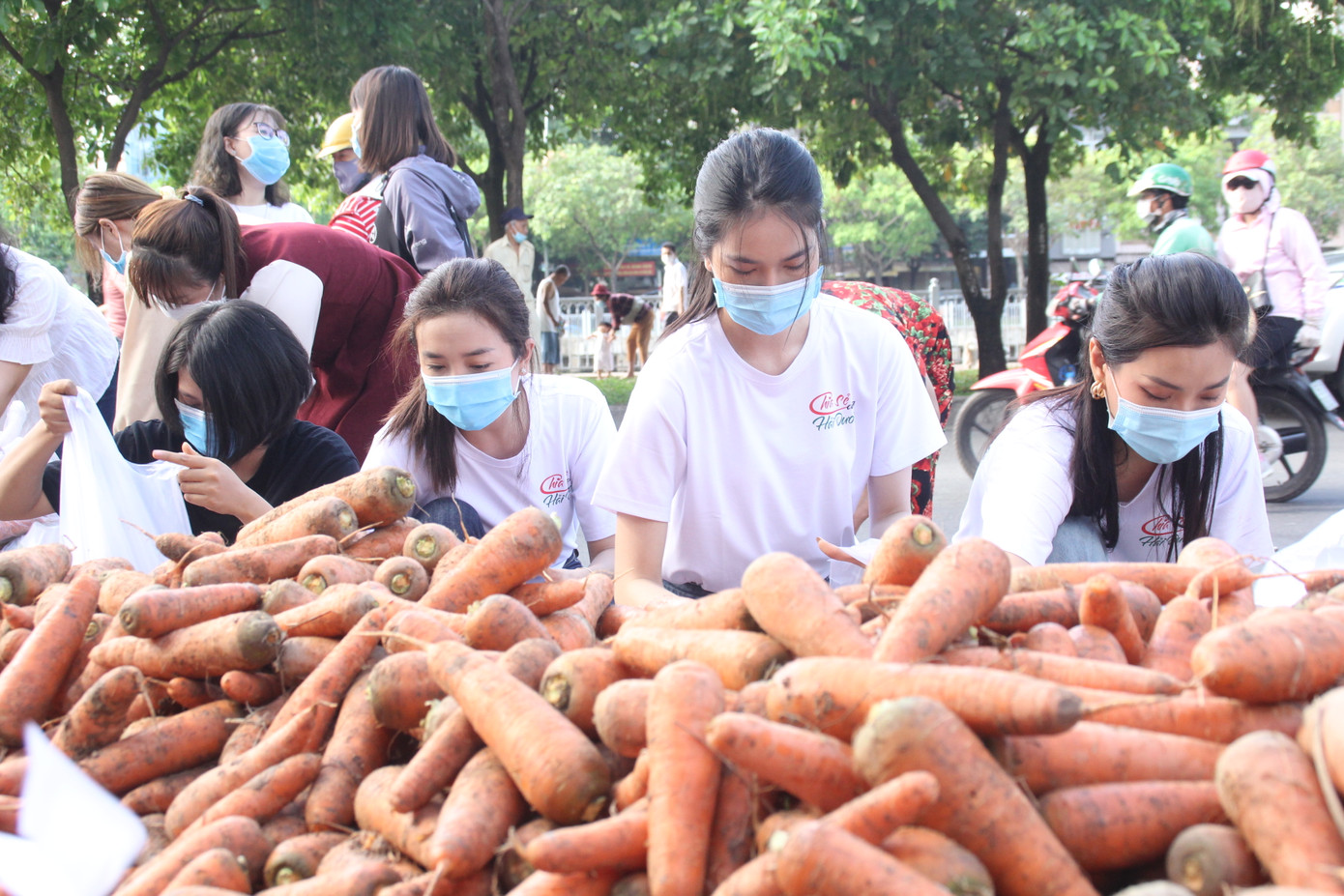 Các người đẹp hoa hậu cùng chung tay giải cứu nông sản Hải Dương ảnh 3