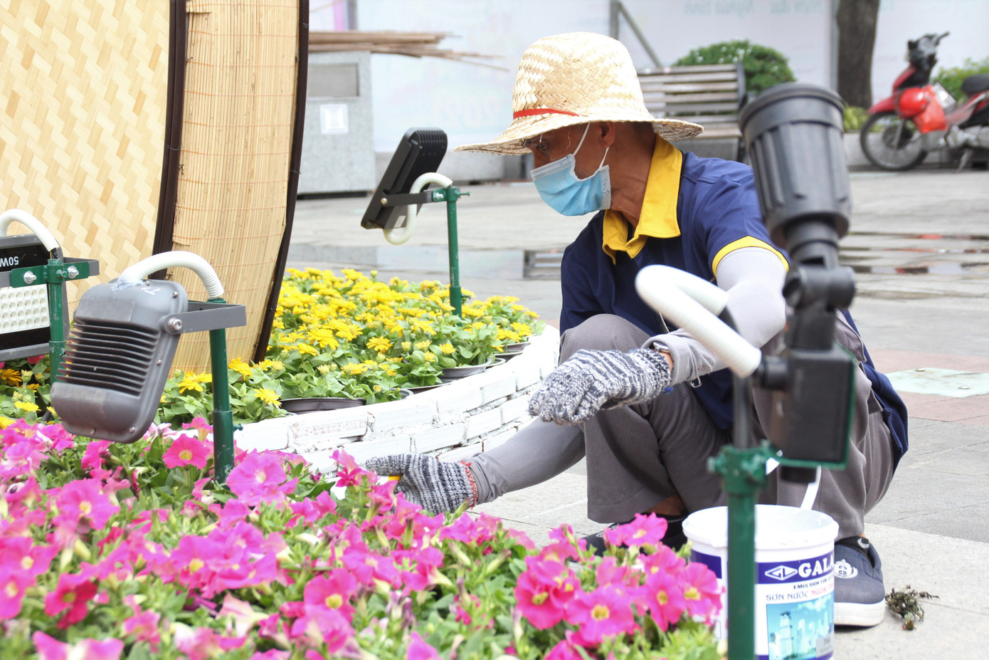 Hình hài Đường hoa Nguyễn Huệ sau hơn 10 ngày thi công ảnh 24