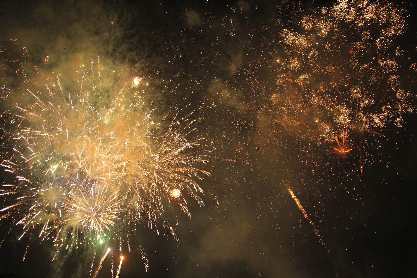 Người dân thành phố Thủ Đức hân hoan với màn pháo hoa chào năm mới ảnh 23