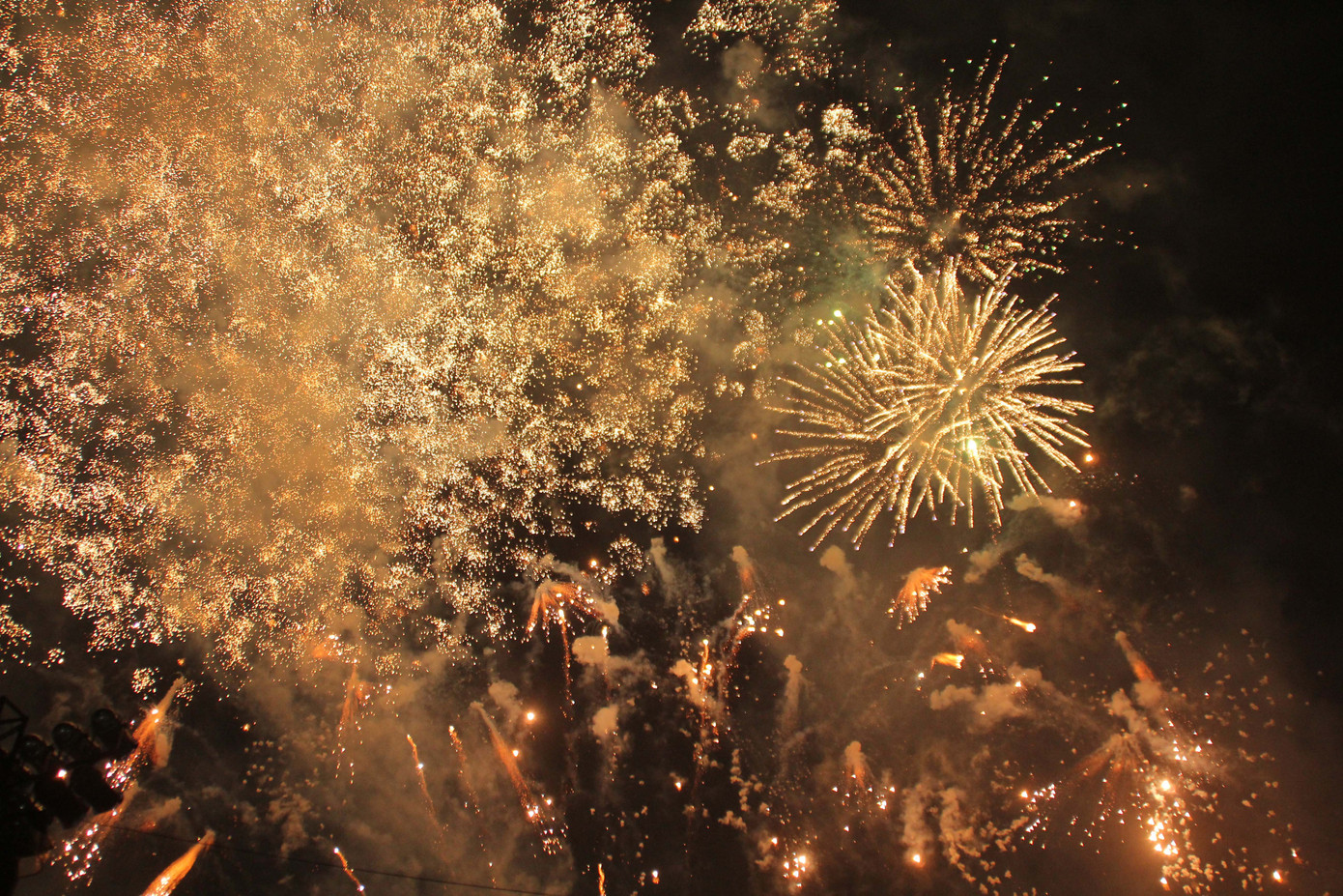 Người dân thành phố Thủ Đức hân hoan với màn pháo hoa chào năm mới ảnh 15