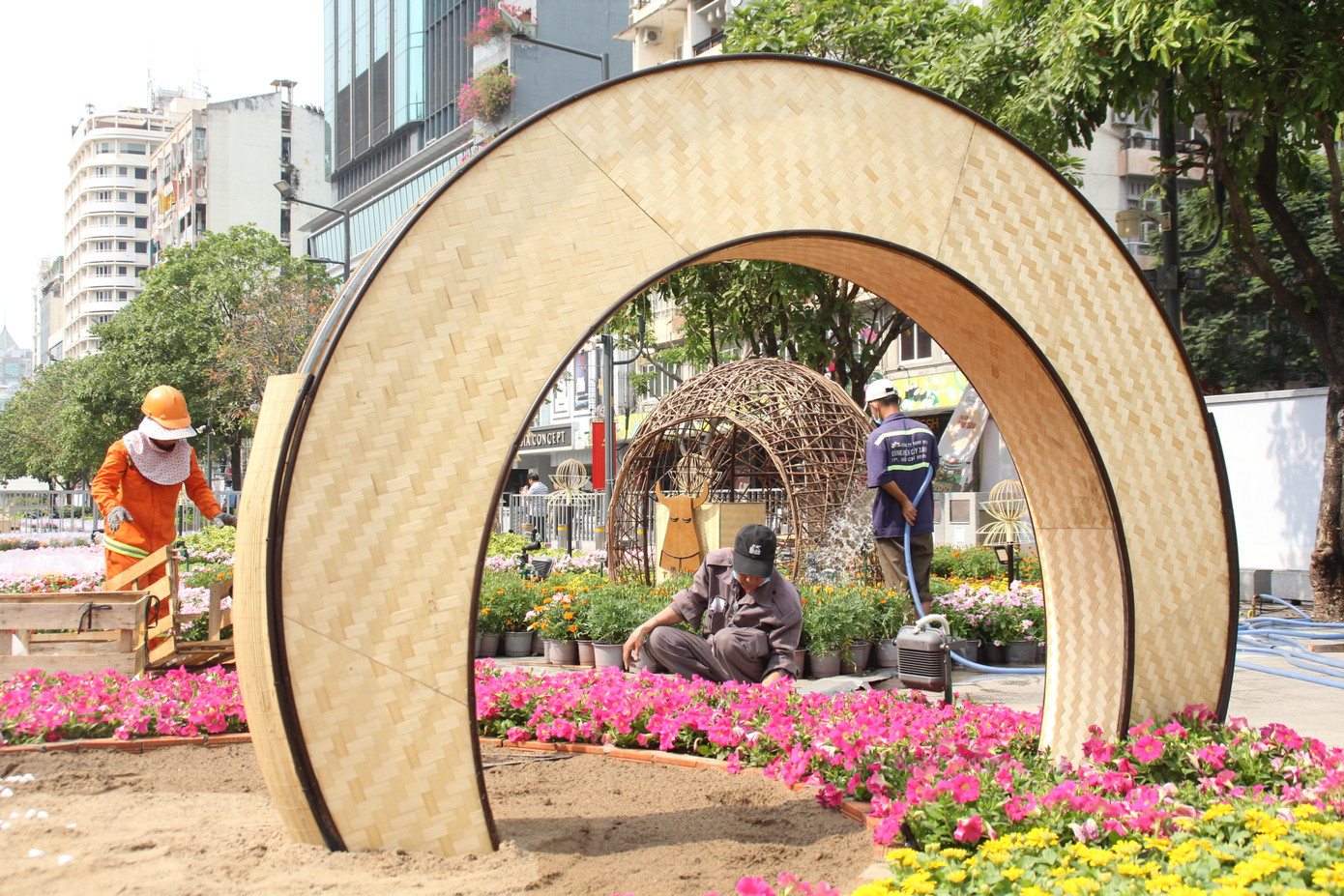 Hình hài Đường hoa Nguyễn Huệ sau hơn 10 ngày thi công ảnh 21