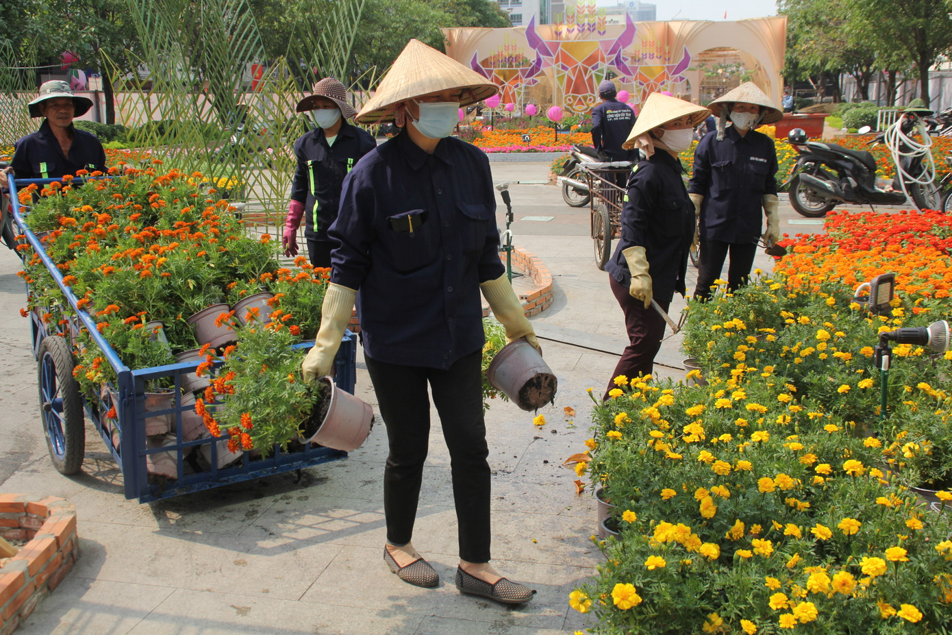 Hình hài Đường hoa Nguyễn Huệ sau hơn 10 ngày thi công ảnh 9