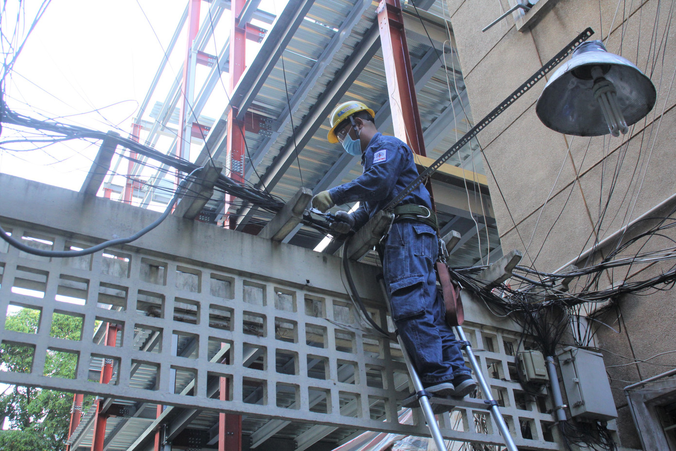 Khởi động Tháng Thanh niên, bạn trẻ TPHCM làm đẹp chung cư, cùng đẩy lùi COVID-19 ảnh 6