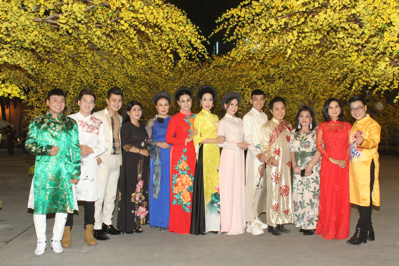 Đàm Vĩnh Hưng cùng dàn nghệ sĩ rộn ràng đón xuân ở phố hoa mai giữa lòng Sài thành ảnh 1