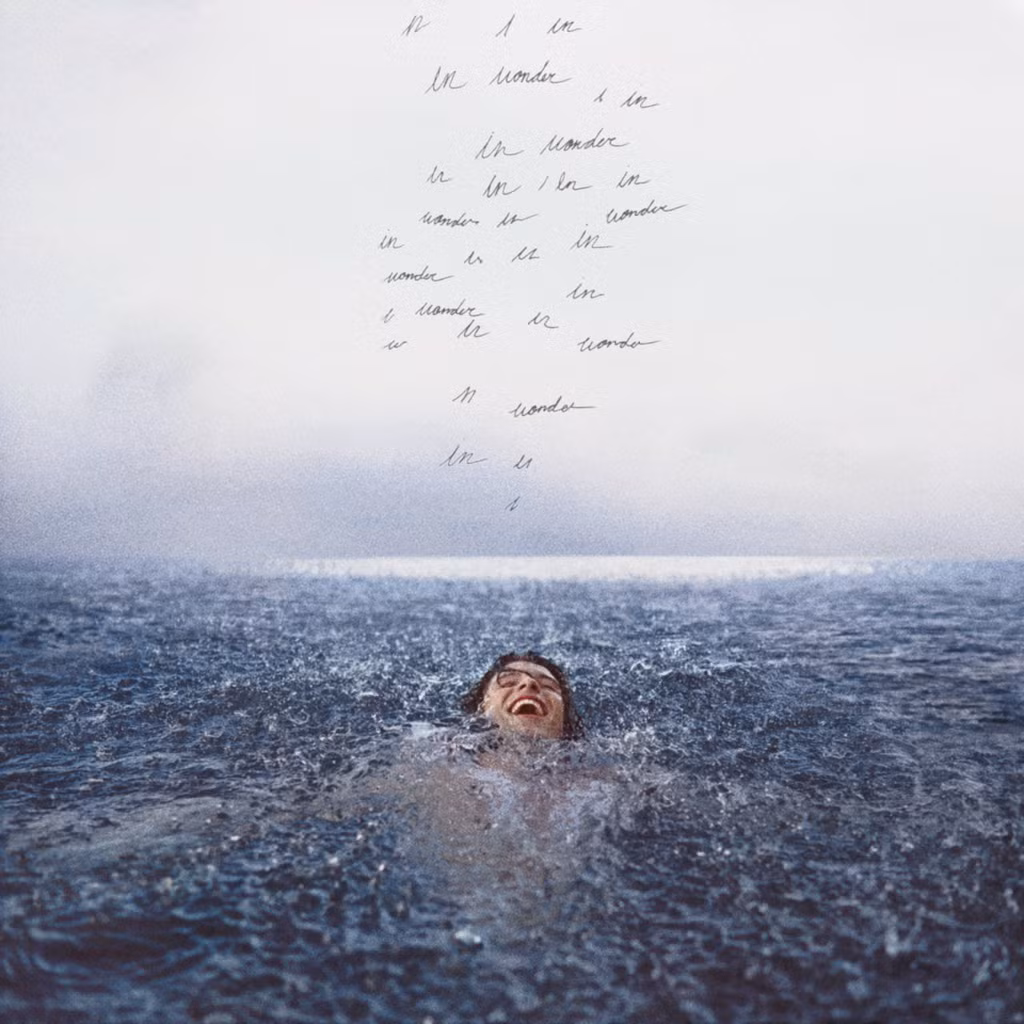 Shawn Mendes thông báo trở lại nhưng bìa single mới lại gợi nhớ đến... Đen Vâu ảnh 1