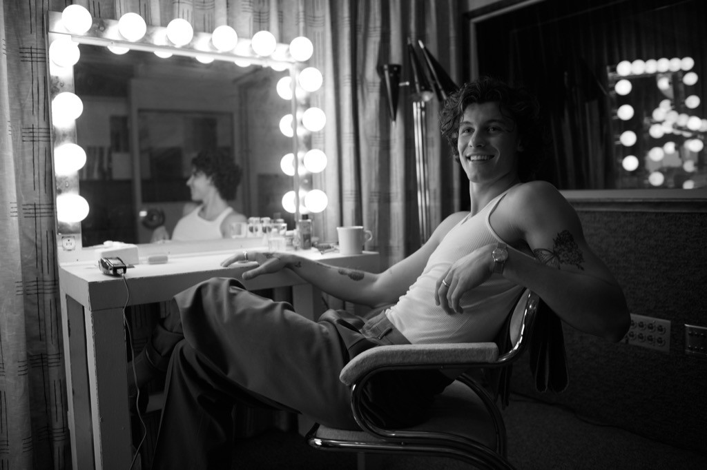 Shawn Mendes xuất sắc “ôm trọn” vị trí No.1 Billboard thứ 4 cùng album “Wonder” ảnh 4