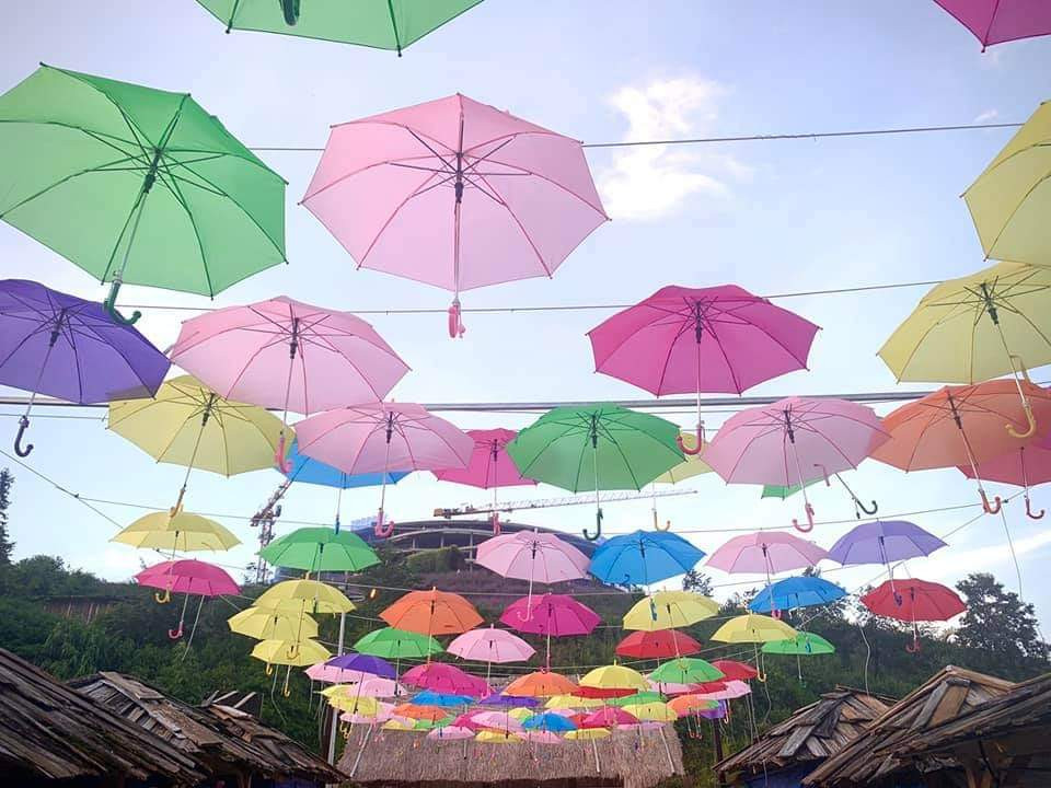 Con đường ô tại Sapa Cả một “biển mây” bồng bềnh đang chờ bạn “check-in” trong mùa đẹp nhất năm ở Sa Pa ảnh 8