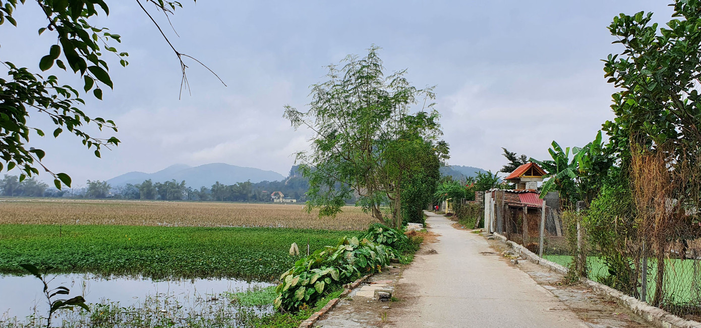 Người dân quê nhà vui, tự hào lần đầu có người lên ngôi Hoa hậu Việt Nam là Đỗ Thị Hà ảnh 5