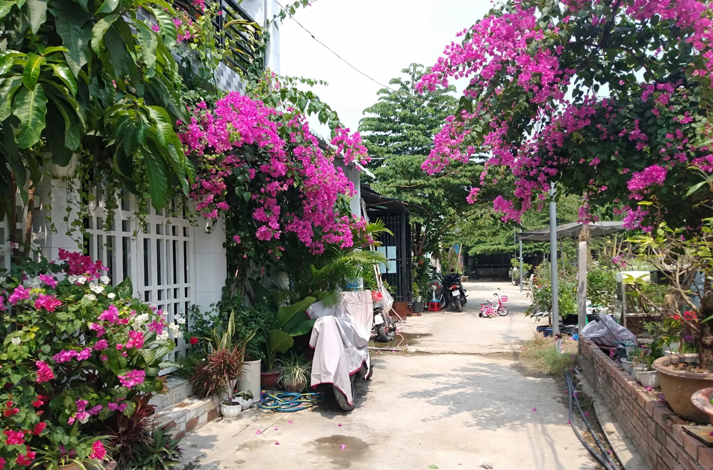 Chính quyền ở đâu tại ‘điểm nóng’ 37 căn​ nhà xây dựng không phép? ảnh 2