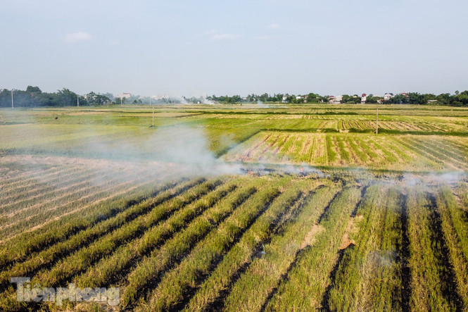 Mù mịt khói 'bủa vây' đường cao tốc Hà Nội - Ninh Bình ảnh 3