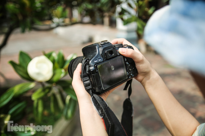 Độc đáo hoa sen đất trong chùa trăm năm tuổi ảnh 9