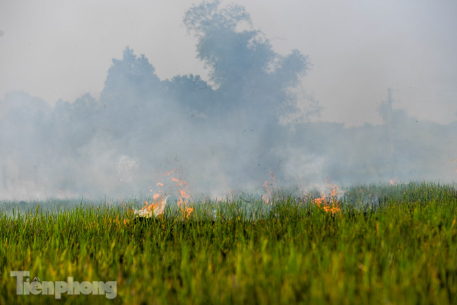 Mù mịt khói 'bủa vây' đường cao tốc Hà Nội - Ninh Bình ảnh 5