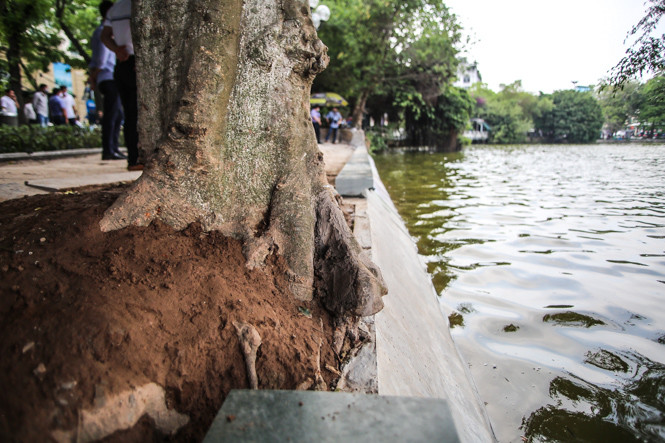 Dùng 'bê tông trường tồn', bờ hồ Hoàn Kiếm vẫn cong mềm mại ảnh 5