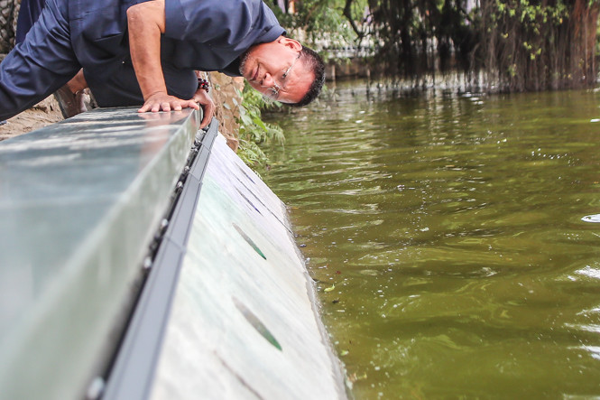 Dùng 'bê tông trường tồn', bờ hồ Hoàn Kiếm vẫn cong mềm mại ảnh 8