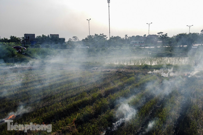 Mù mịt khói 'bủa vây' đường cao tốc Hà Nội - Ninh Bình ảnh 2