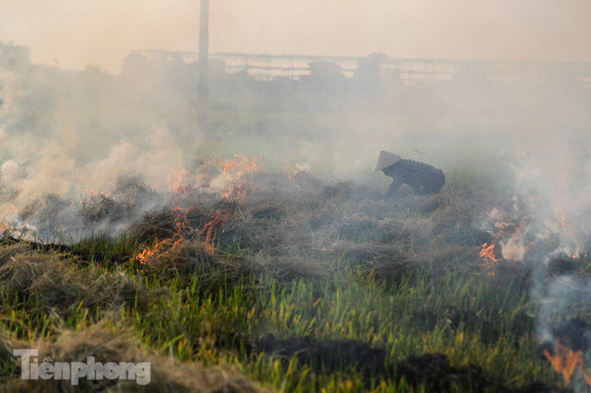 Mù mịt khói 'bủa vây' đường cao tốc Hà Nội - Ninh Bình ảnh 9