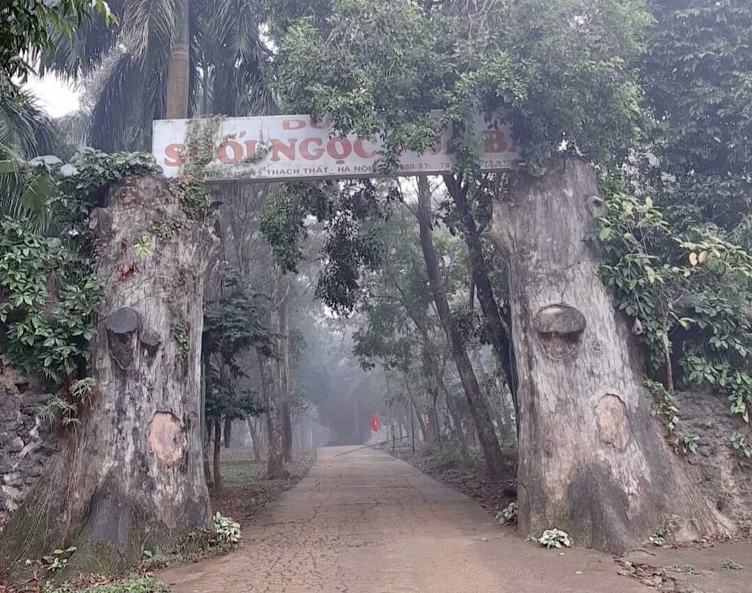 Cận cảnh khu du lịch Suối Ngọc - Vua Bà bỏ hoang, lãng phí ảnh 1