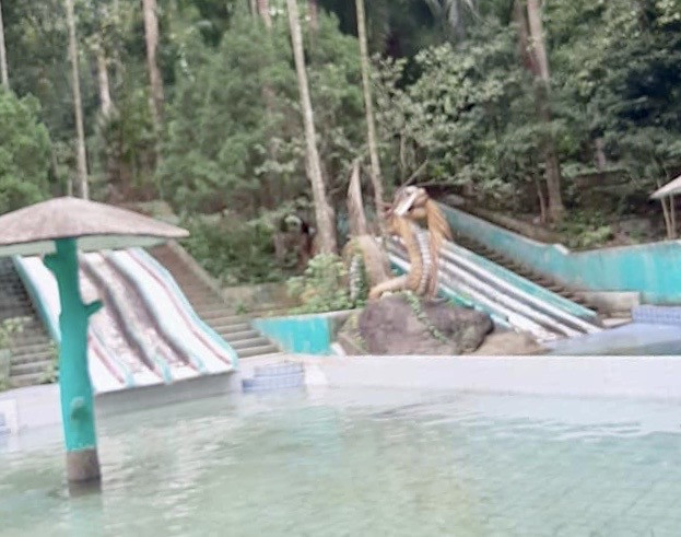 Cận cảnh khu du lịch Suối Ngọc - Vua Bà bỏ hoang, lãng phí ảnh 5