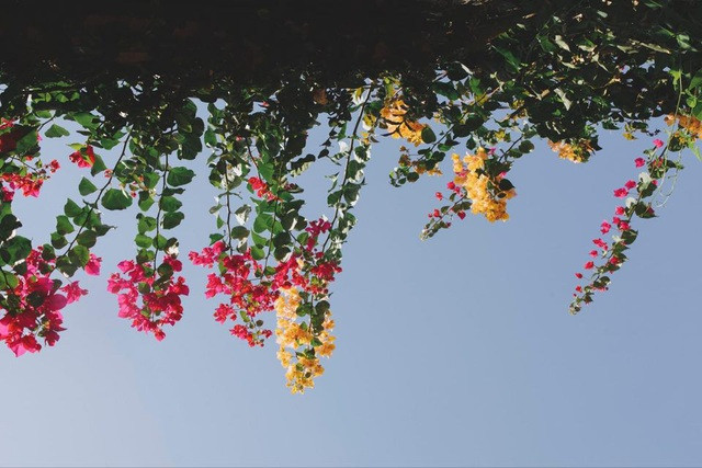 Căn nhà 350 triệu đồng từ lưới đánh cá đẹp bất ngờ ảnh 9