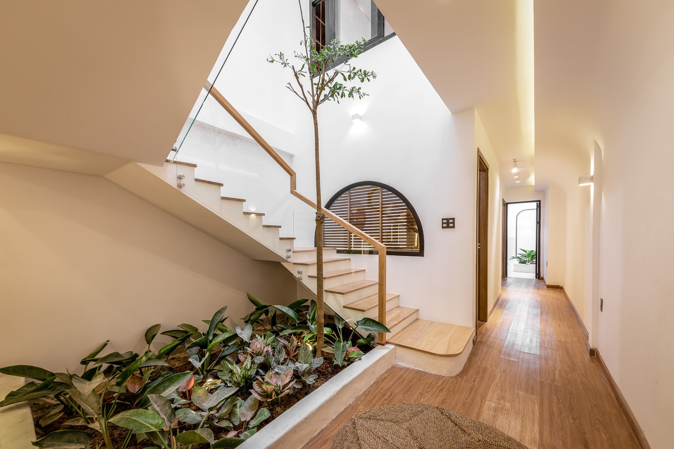 Chiêm ngưỡng ngôi nhà có thiết kế độc đáo ở vùng quê miền Tây ảnh 2